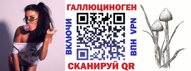 где можно купить   Стрежевой  Галлюциногенные грибы Psilocybine cubensis 